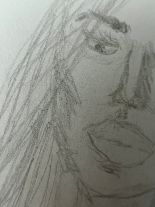 DISEGNI