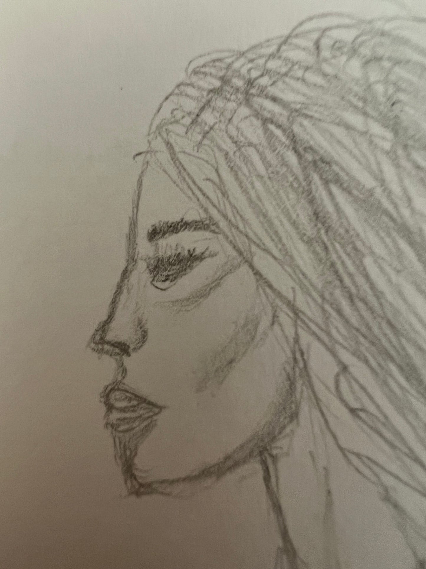 DISEGNI