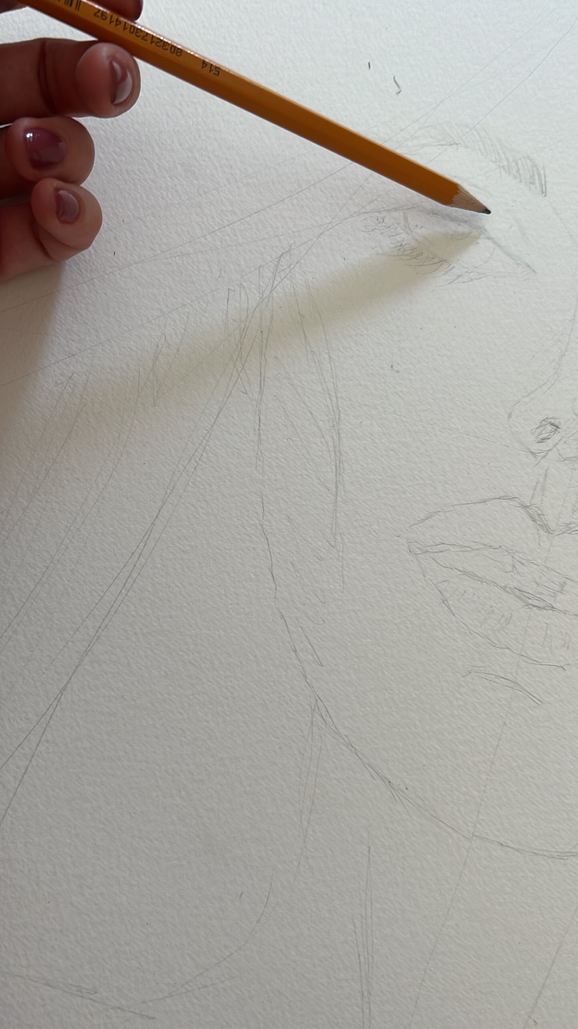 DISEGNI