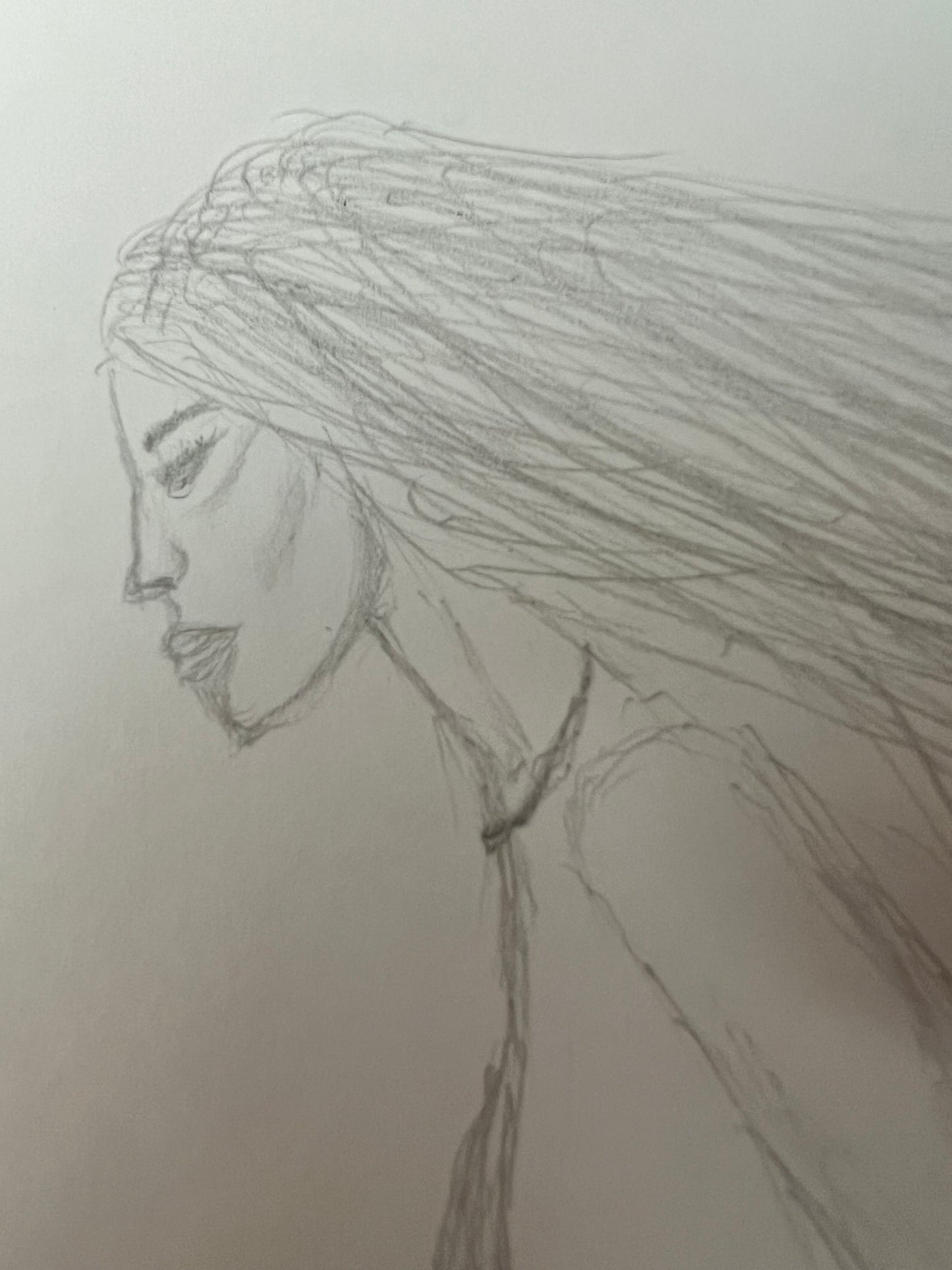 DISEGNI