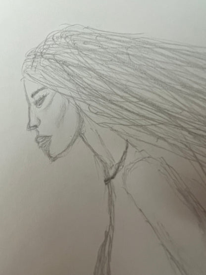 DISEGNI